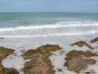 Florida_2_123