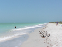 Florida_2_253