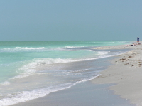 Florida_2_272