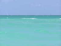 Florida_4_302