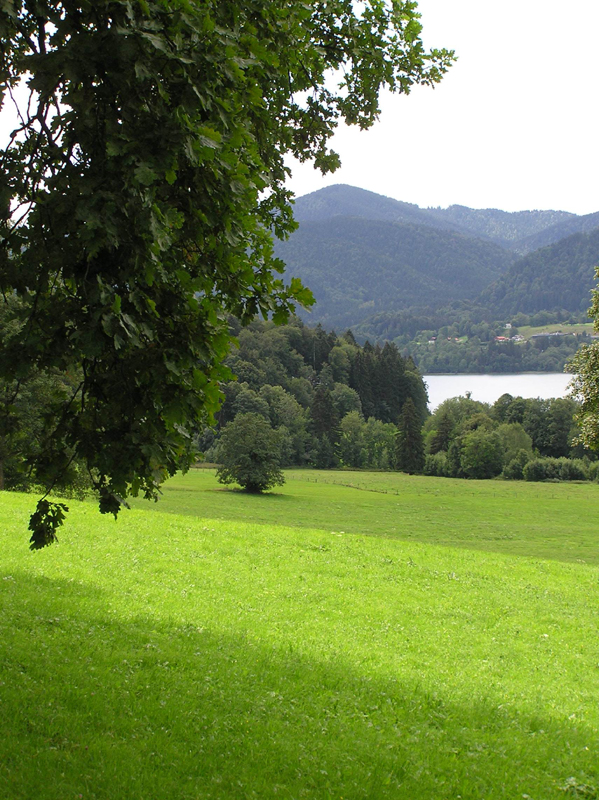 HolzGmundTegernsee259