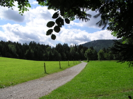 HolzGmundTegernsee228