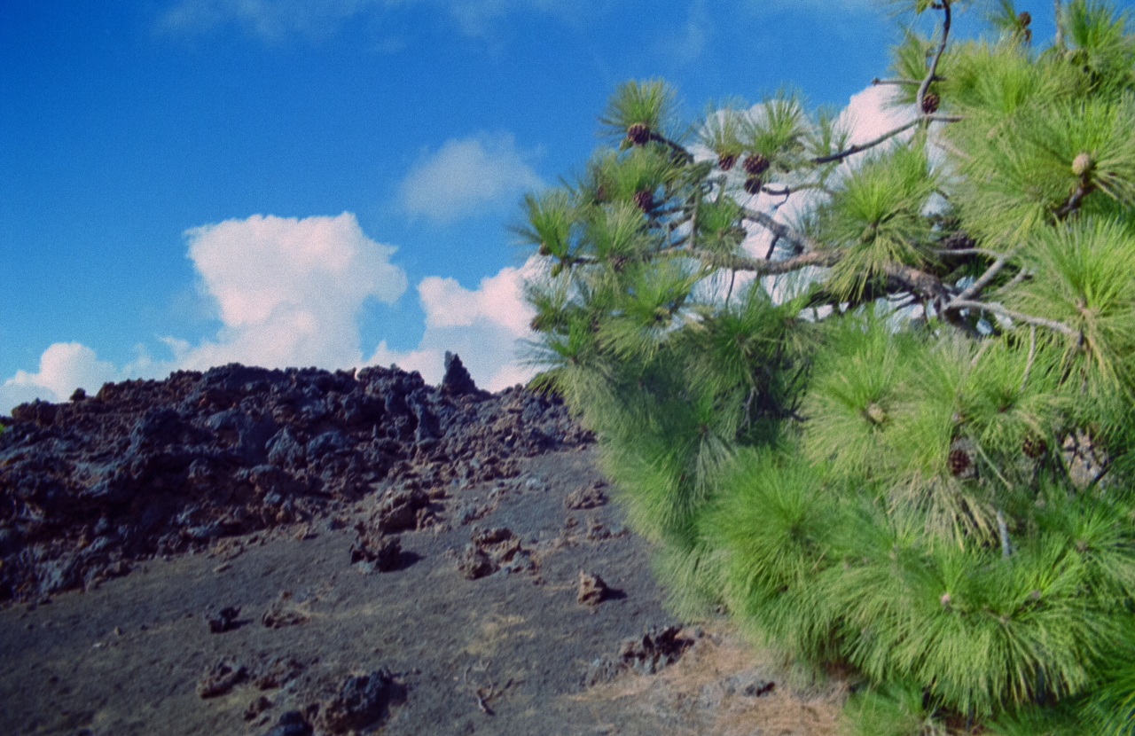 teide_22