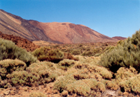 teide_13